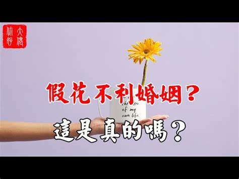 家裡 假花|2024年假花擺放指南